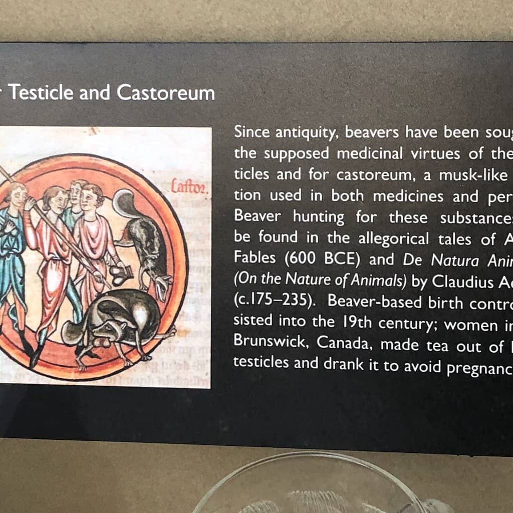 Victorian Doctor's Office