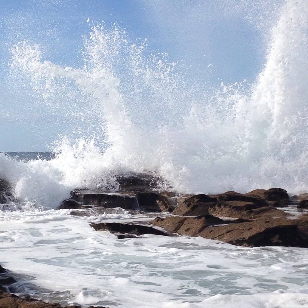 Tidal Flats Exploration