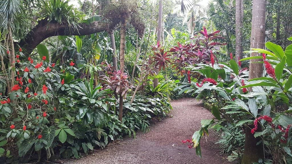 Exotic Spices and Fruits