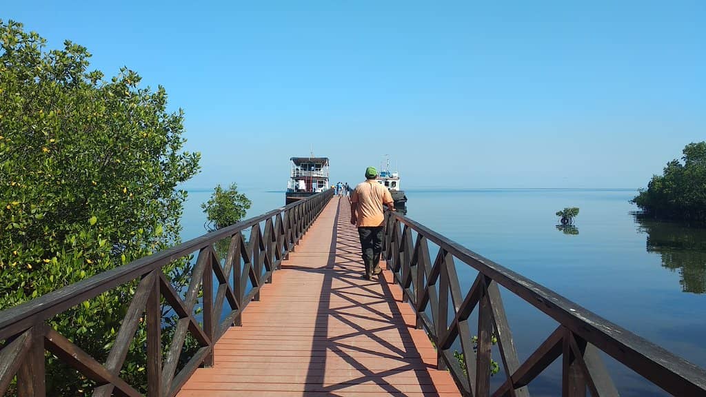 Vibrant Snorkeling & Diving