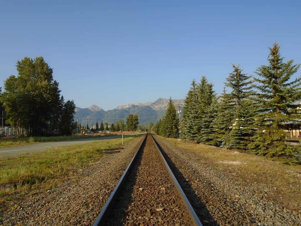 Live Music Performances