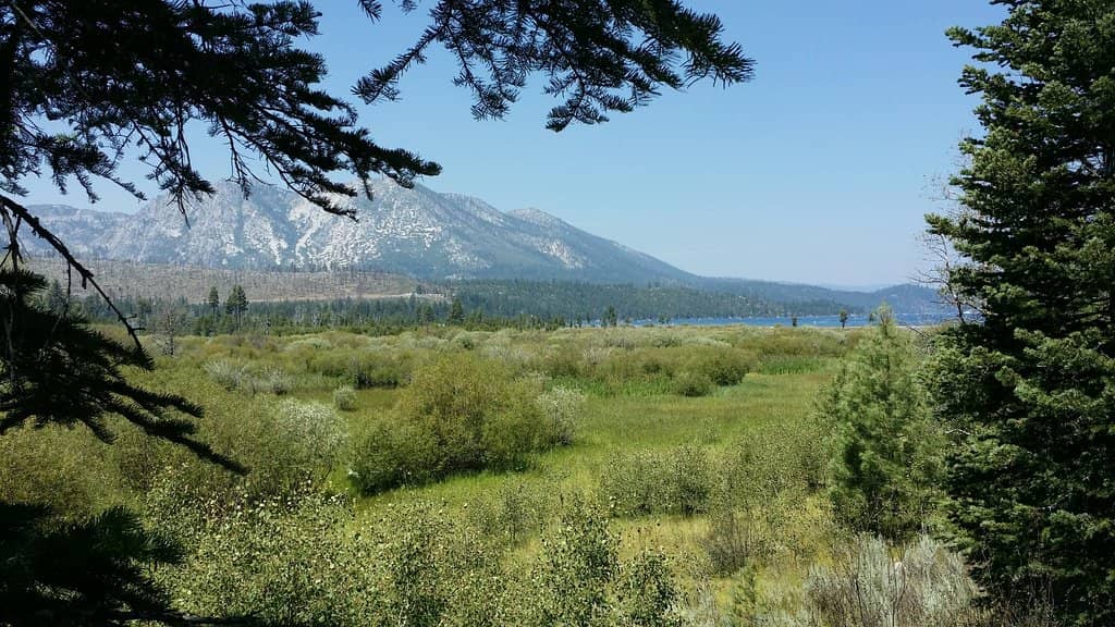 Stream Profile Chamber