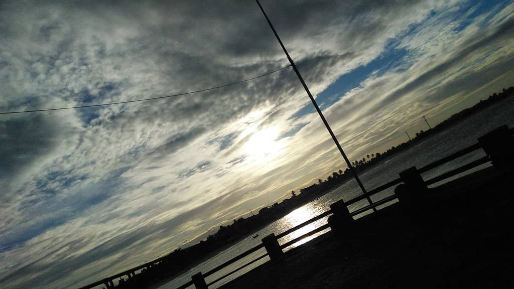 Newton Navarro Bridge Views