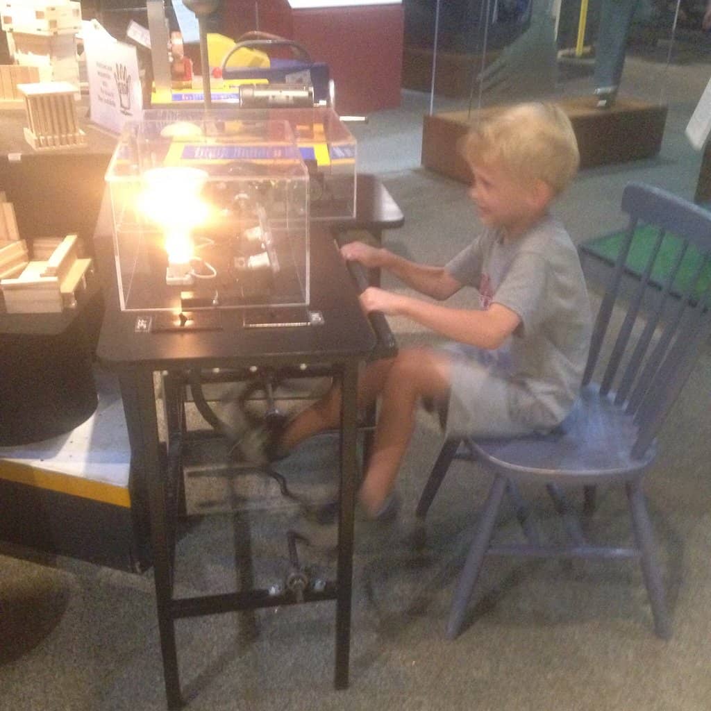 Insect Discovery Zone