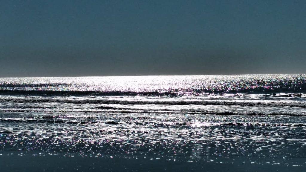 Volleyball & Surfing Action