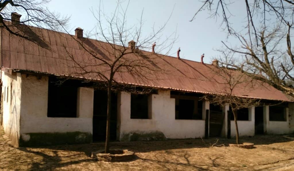 Milkshake Tasting Adventure