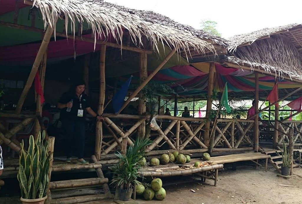 Panoramic Summit View