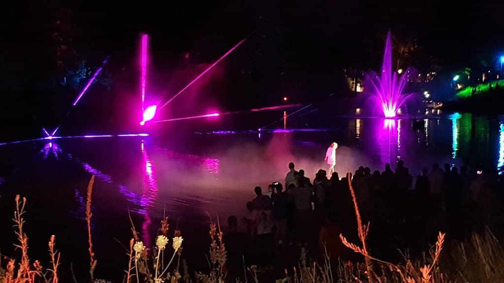 Wild Boar & Deer Spotting