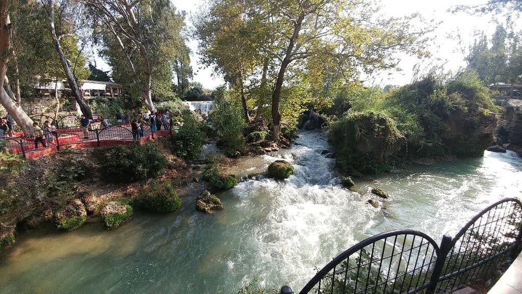 Duck Pond & Connecting Falls