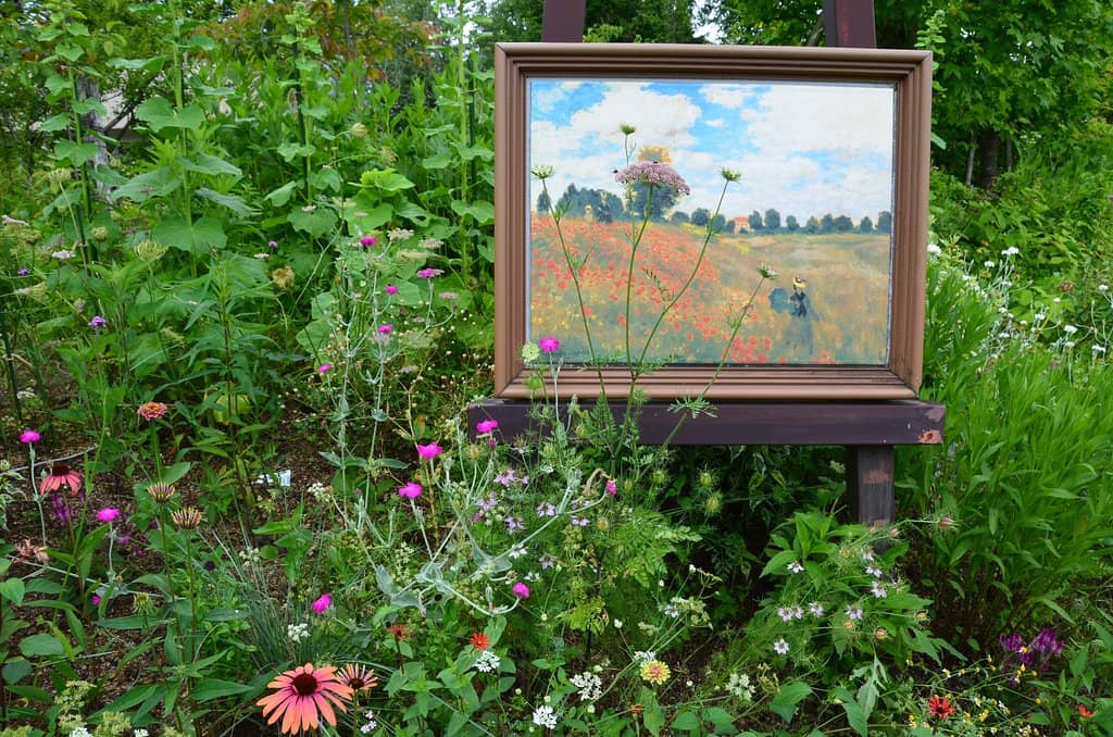 Panoramic Lake Biwa Views