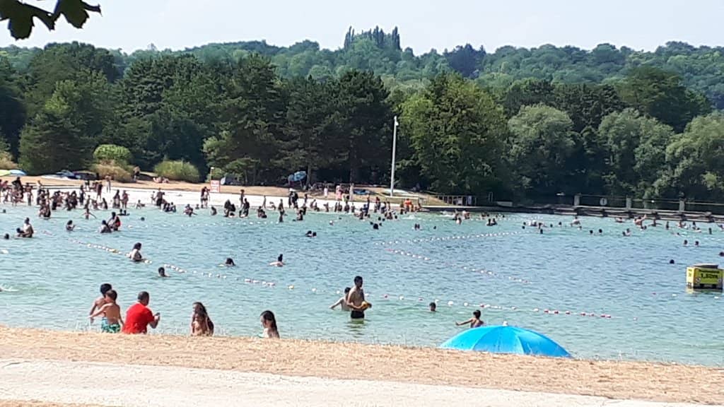 Picnic & BBQ Paradise