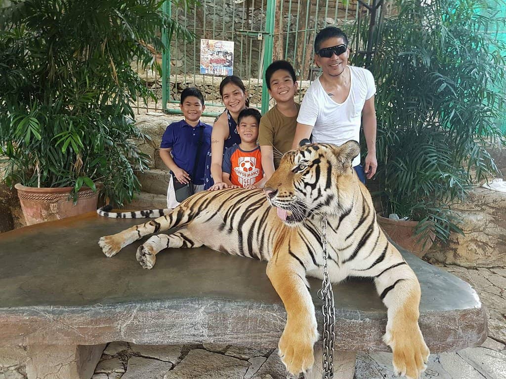 Safari Gallery of Trophies