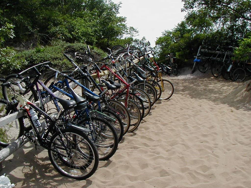 Street Food Delights