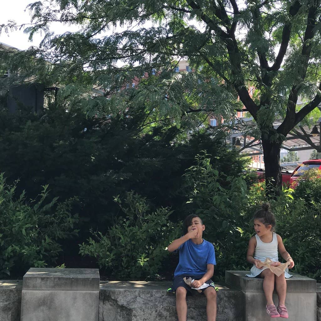 Public Art Installations