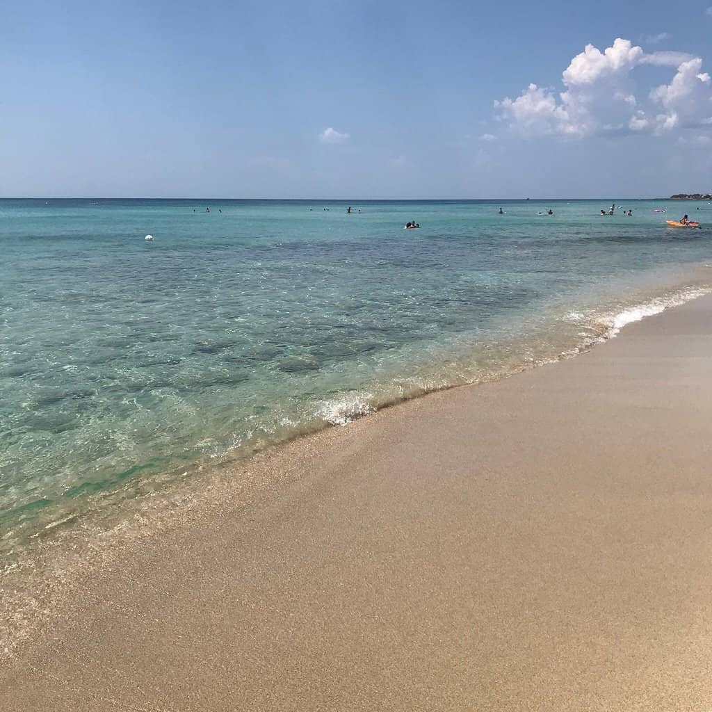 Expansive Sandy Shoreline