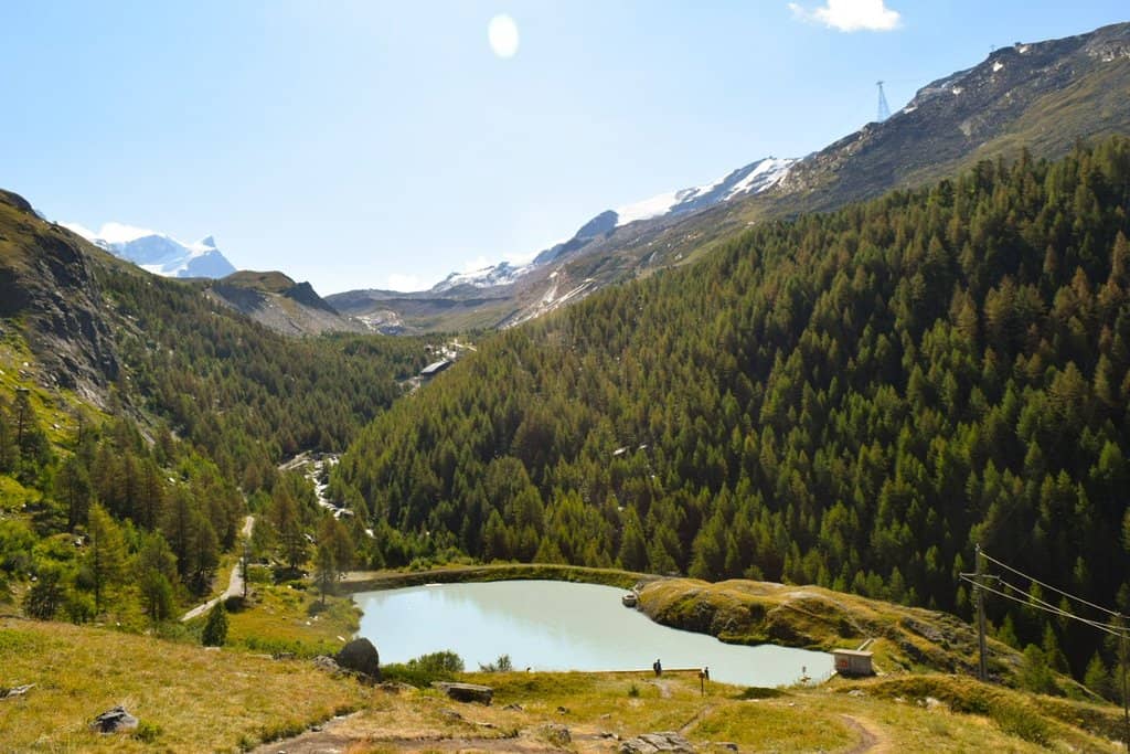 Leisee's Refreshing Dip