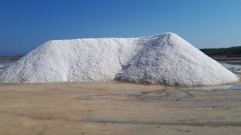 Boat Tour of the Lagoon