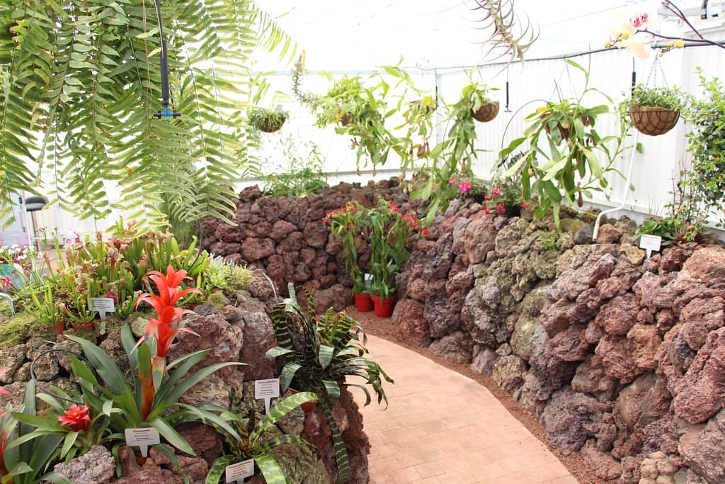 Poisonous Plants Garden