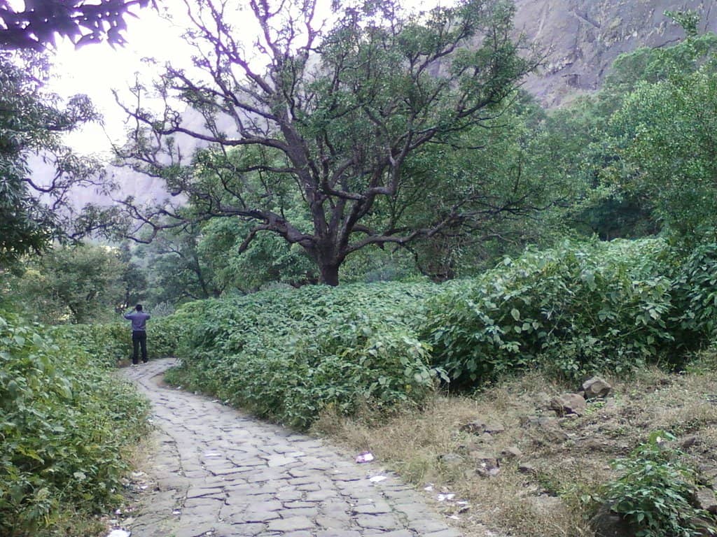 Brahmagiri Temple