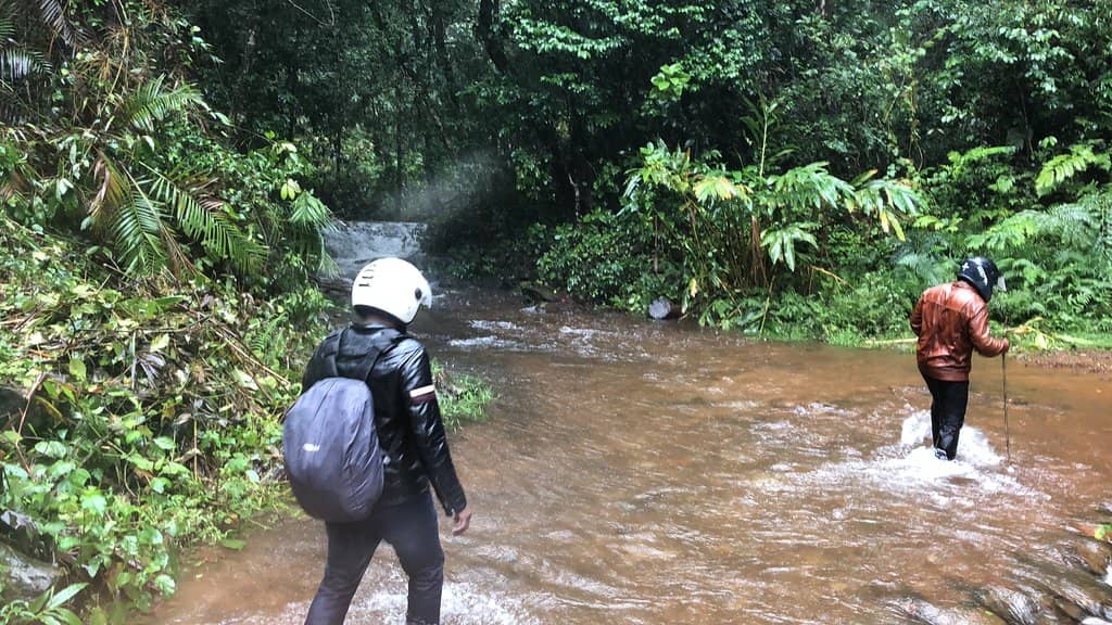 Shola Forests & Grasslands