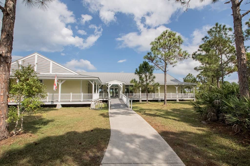 Diverse Wildlife Sightings