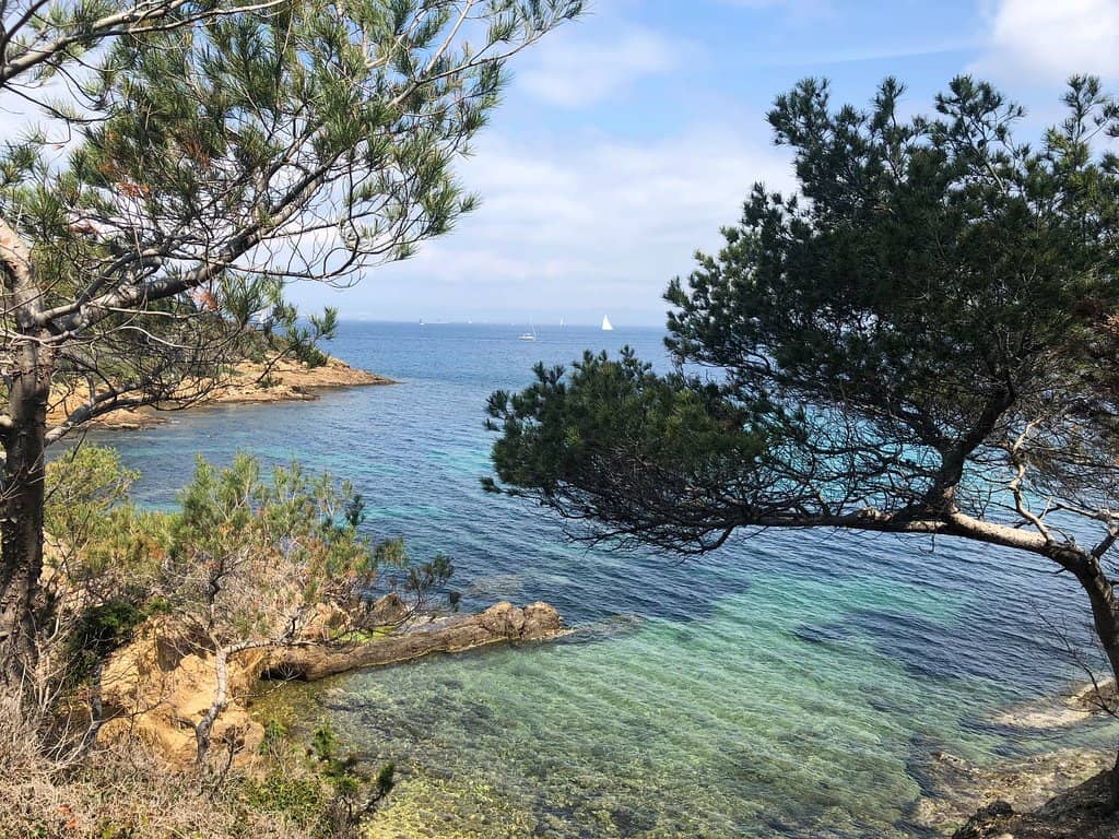 Miquel Barceló's 'Abyssal Vision'