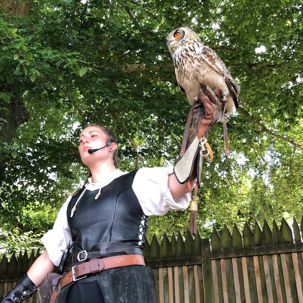 Interactive Bird Handling