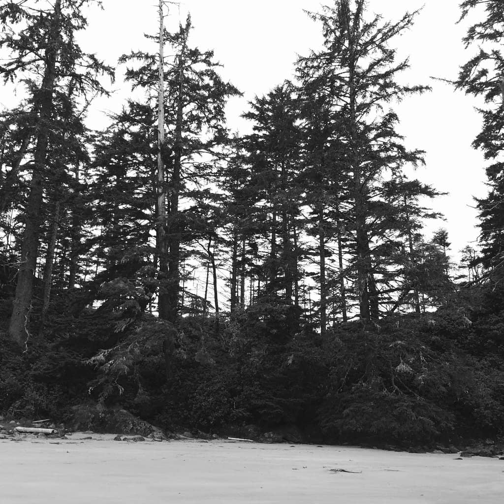 South Beach Exploration