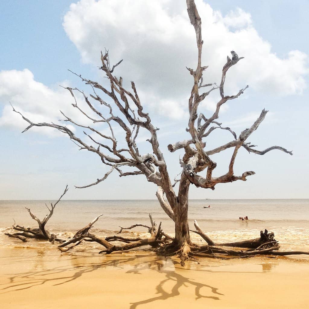 Sunset Photo Opportunities