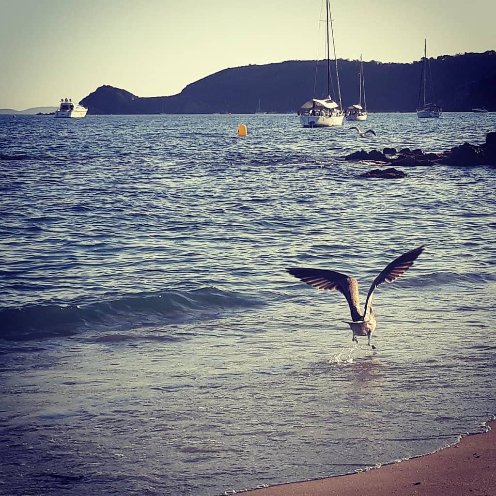 Panoramic Coastal Views