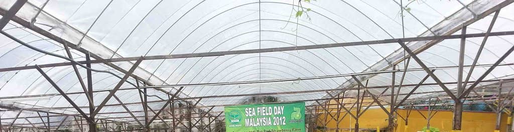 Strawberry Treats & Cafe