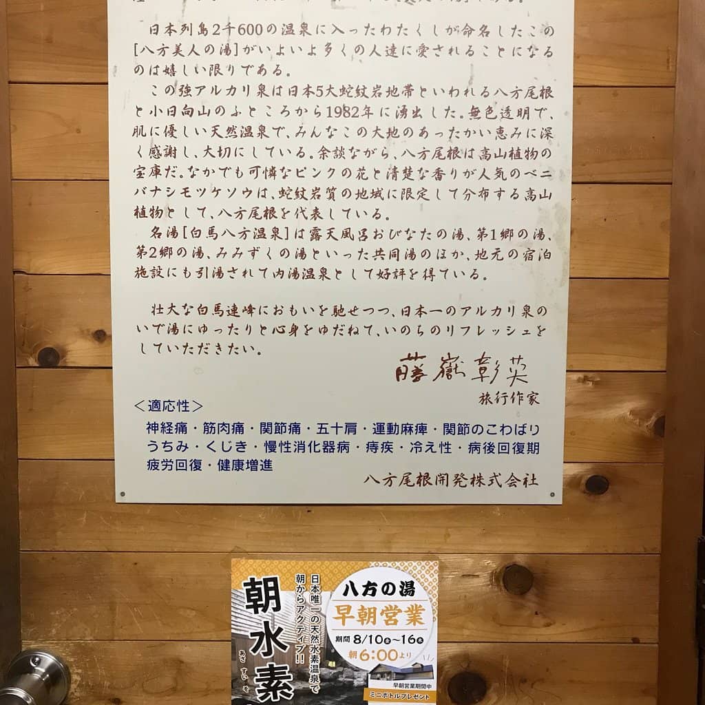 Delicious Onsen Manju