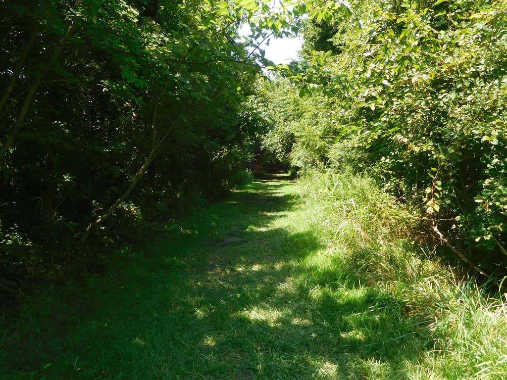 Cape Charles Tiny Livin'