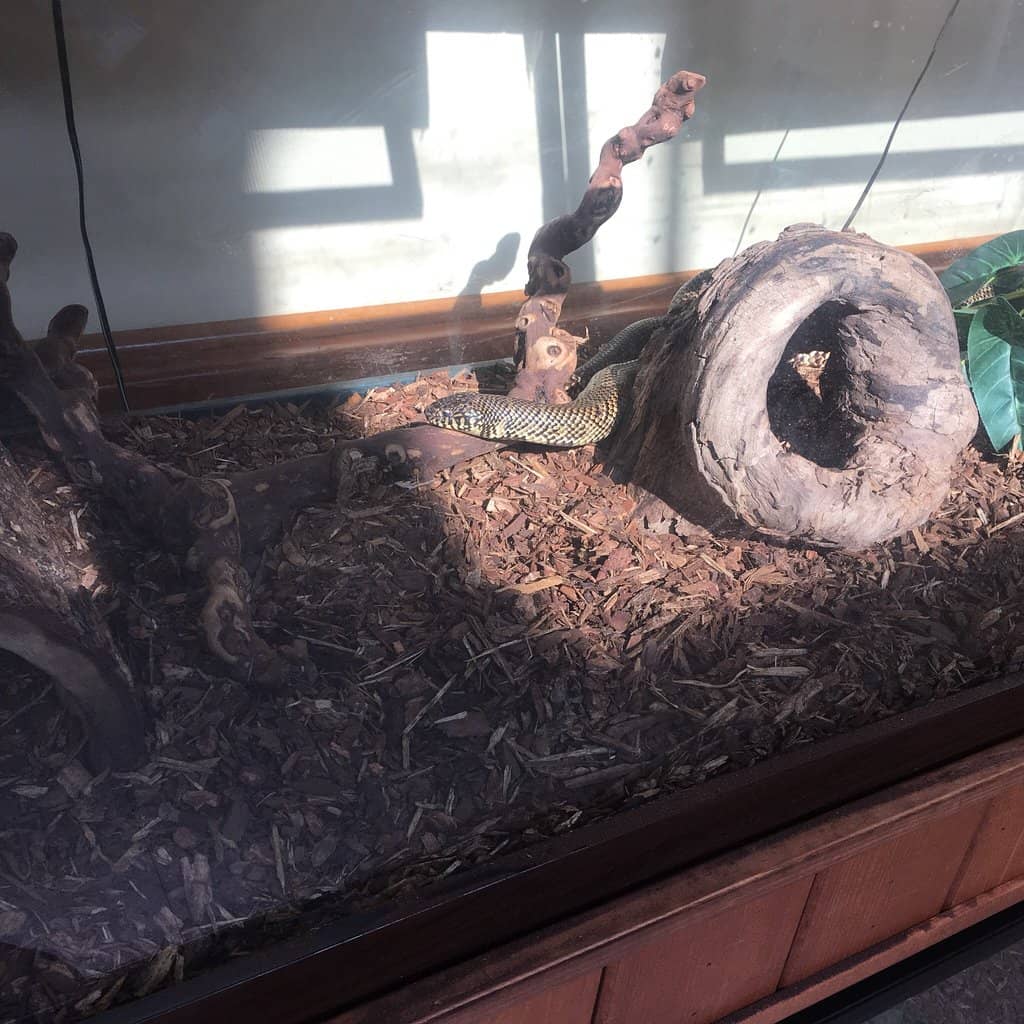 Outdoor Wildlife Enclosures