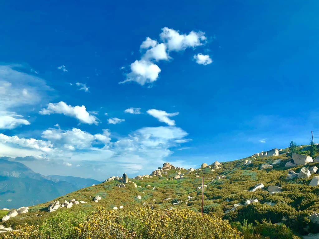 Knowledgeable Volunteer Staff