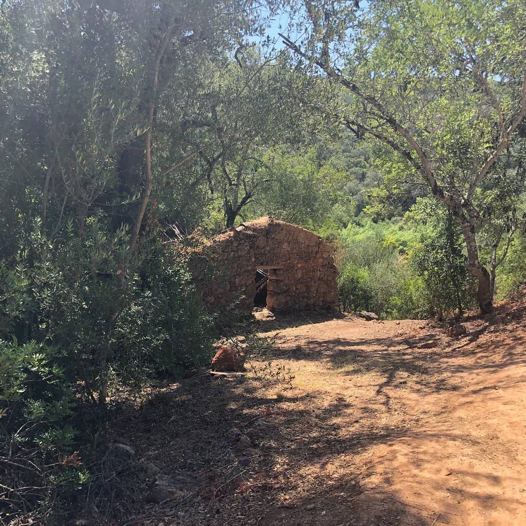 Scenic Walking Trails