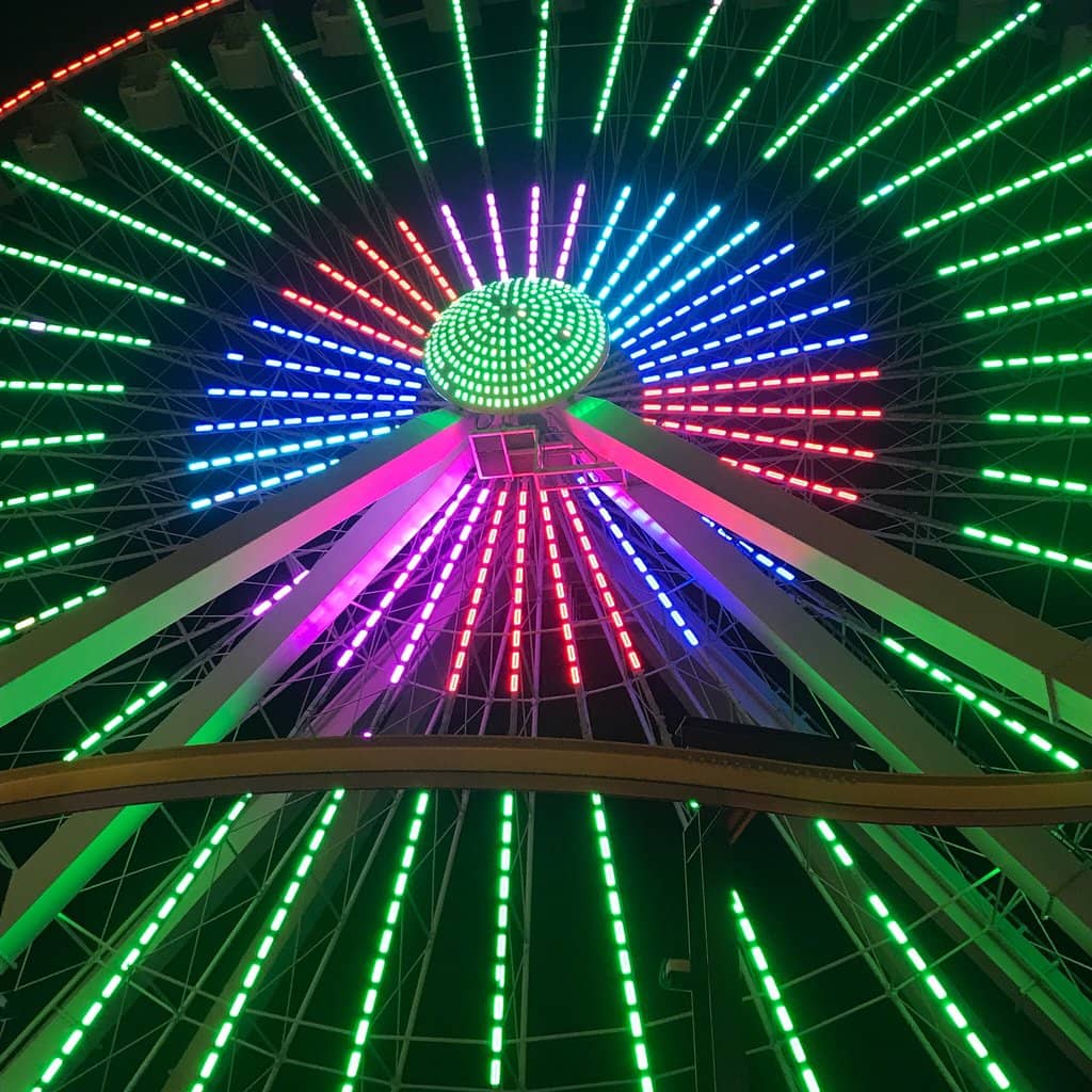 King Wolfie Sightings