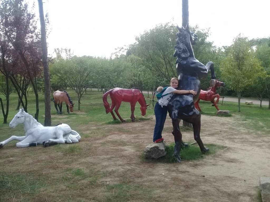 Illuminated Cherry Blossoms