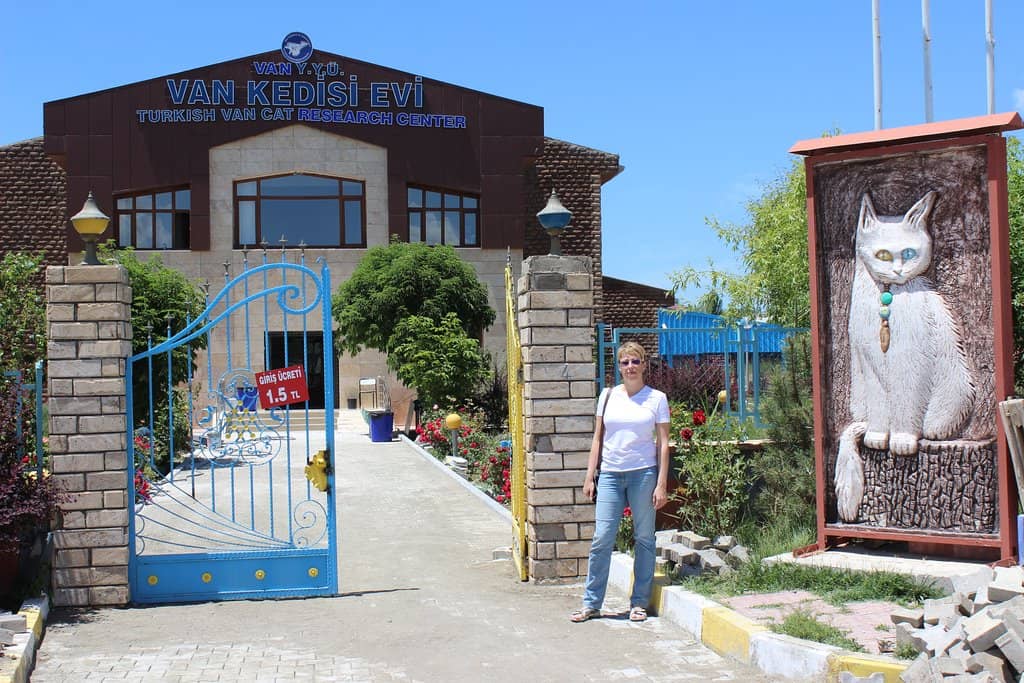 Research and Conservation Efforts