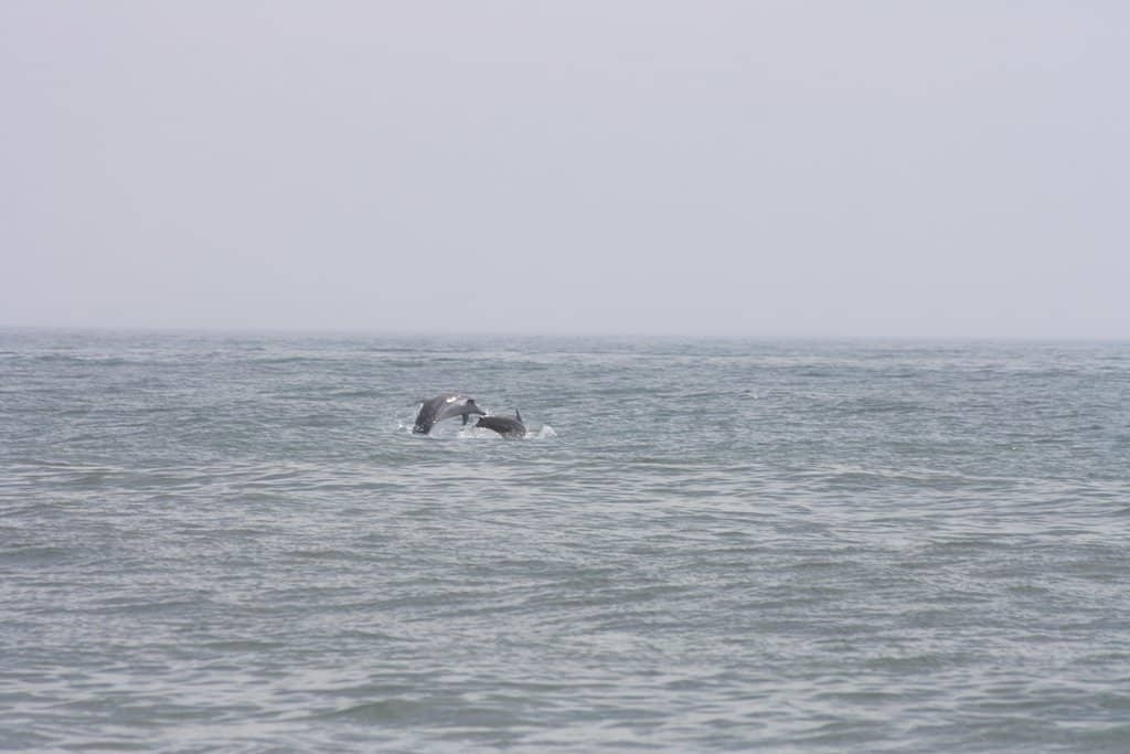 Paseo Marítimo Promenade