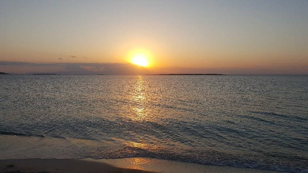 Hidden Cafes and Taverns