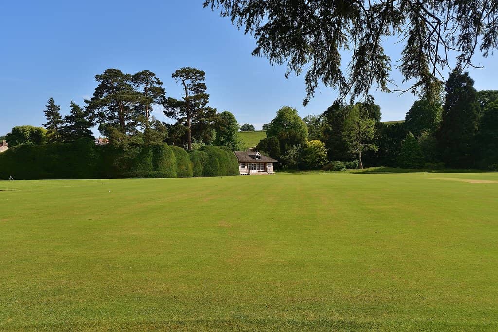 Historic Cricket Pitch
