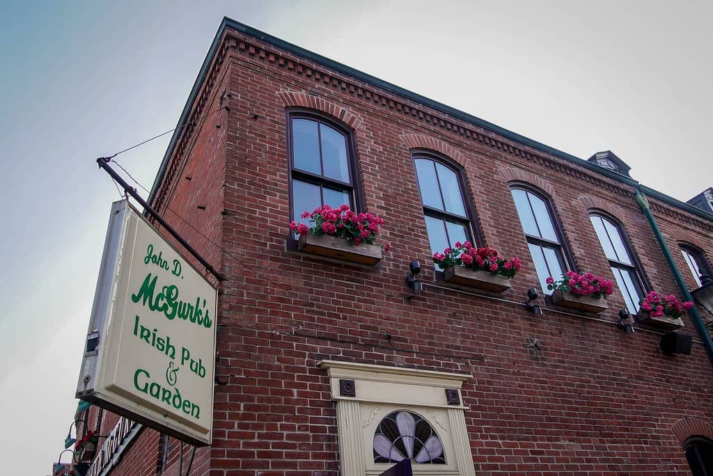 Enchanting Garden Patio