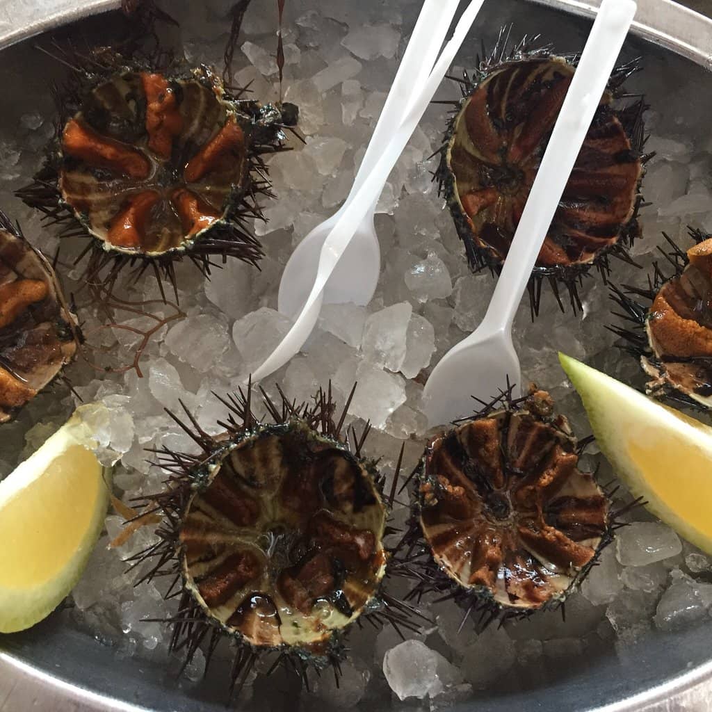 Family Suite Comfort