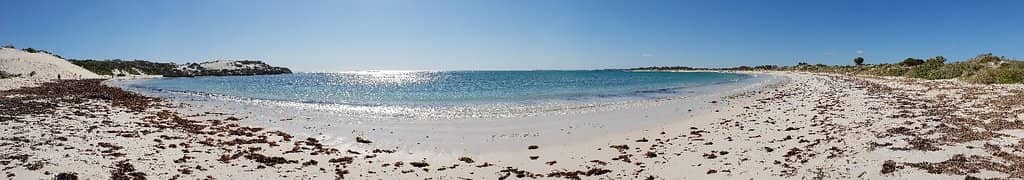 Camping Under the Stars