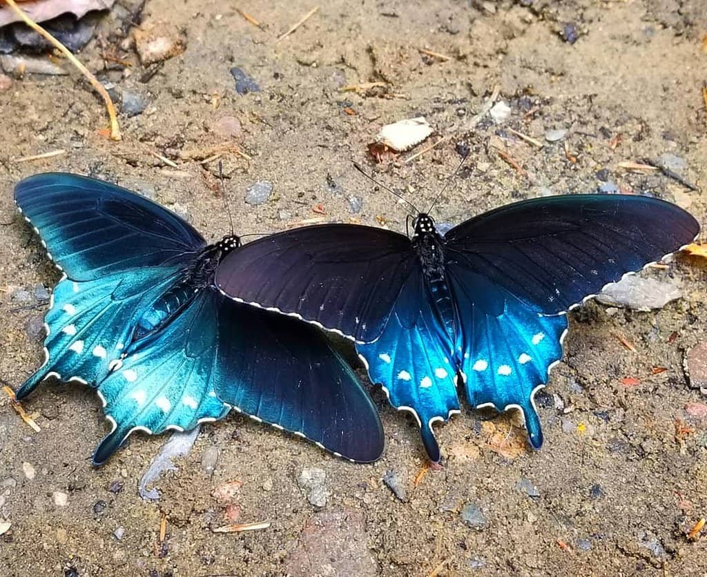 Rocky Path to the Base