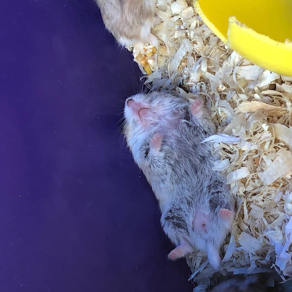 Artisan Crafts & Local Produce