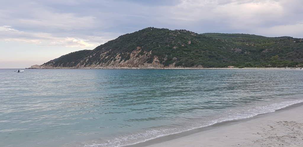 Vibrant Underwater World