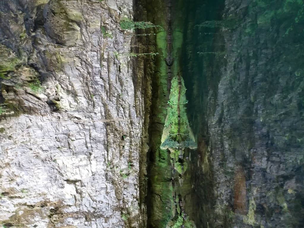 The Source of the Oliero River
