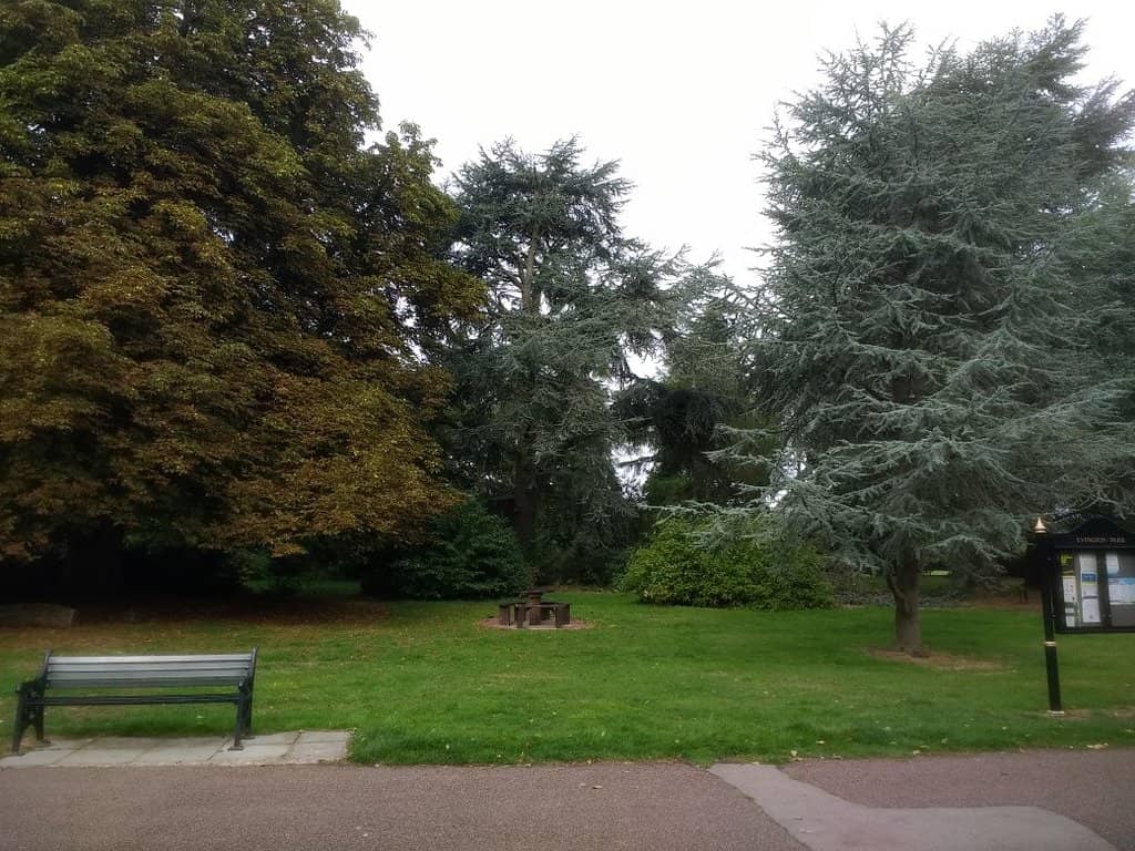 Children's Play Area